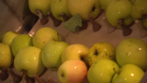 Raw-apples-moving-up-a-conveyor-belt