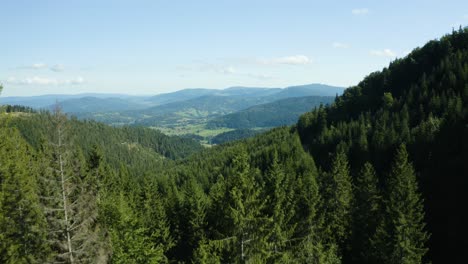 Drone-reveal-of-a-green-valley-among-forested-mountains