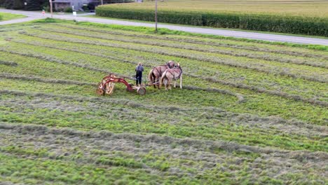 Aerial-drone-tracking-shot-of-Amish-farmer-with-horse-drawn-hay-rake-in-Lancaster-Pennsyvlvania-field