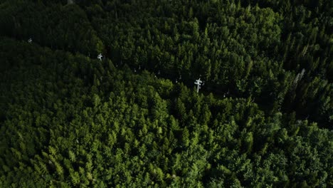 Drone-top-down-shot-of-a-working-cable-car-for-tourists-among-green-conifers