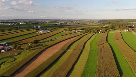 Aerial-truck-shot-reveals-long-colorful-fields-of-corn,-alfalfa-on-hillside