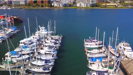 A-fast-pass-over-two-rows-of-sailboats-in-a-beautiful-marina-on-a-sunny-day