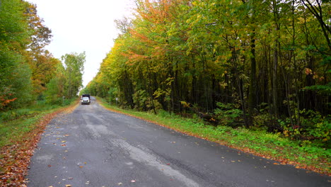 Ford-pickup-pass-by-on-a-small-road-surrounded-by-autumn-maple-leaf