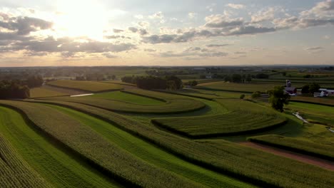 Descending-aerial-above-Lancaster-County-Pennsylvania-corn-and-alfalfa-fields-during-summer-sunset