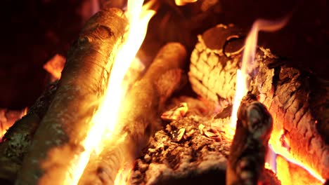Extreme-close-up-of-burning-woods-into-the-fireplace