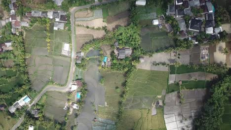 Antenne-4k,-Die-Sich-über-Dorfreisfeldplantagen-In-Indonesien-Erhebt-3