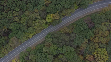 Top-view-of-a-two-lane-road-in-the-midst-of-autumn-forest-with-different-green-hues-tree-leaves