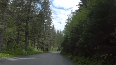 Looking-out-the-back-of-the-car-while-driving-by-trees-and-Spruce-Creek-at-Resurrection-Bay-on-Lowell-Point