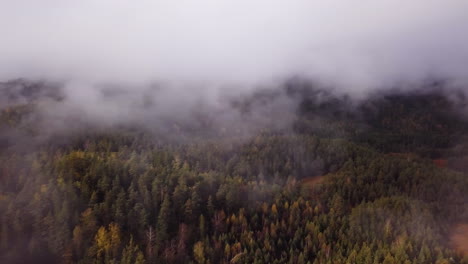Aerial,-pan,-drone-shot,-overlooking-fog,-above-hills-and-foliage-forest,-on-a-foggy,-autumn-day,-in-Flakk,-Aust-Agder,-South-Norway