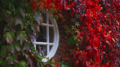 Handheld-shot-of-old-brick-cottage-circular-window-with-white-wood-frame