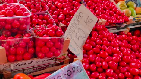 Boxes-of-tomatoes-on-display-at-Italian-market-stall,-close-up-pullback