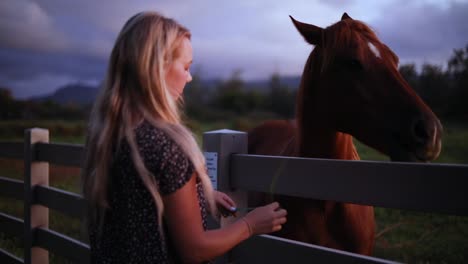 Golden-Hour-shot-of-a-beautiful-woman-hand-feeding-a-large-brown-horse-over-a-fence-on-a-ranch-in-Hawaii