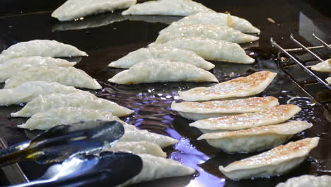 fried-gyoza-on-pan-in-Japanese-style