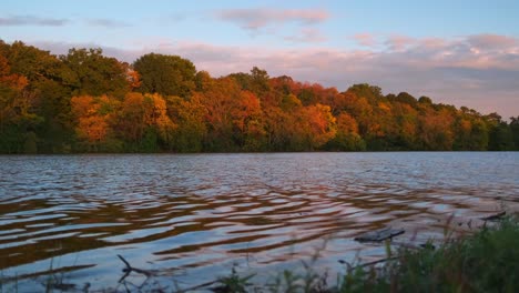 Gras-Und-Trümmer-Am-Rand-Eines-Fließenden-Flusses-Während-Eines-Sonnenuntergangs-Im-Herbst