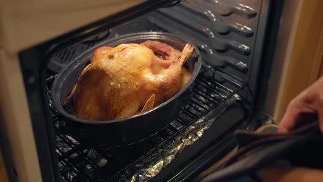 Removing-a-cooked-Thanksgiving-turkey-from-the-oven-and-placing-it-on-stove-in-slow-motion-4K
