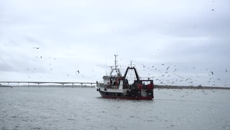 Zeitlupe-Eines-Fischerschiffes,-Umgeben-Von-Möwen,-Die-An-Einem-Grauen-Wintertag-Im-Hafen-Ankommen