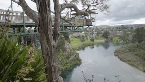 Eine-Aufnahme-Einer-Bungy-Jumping-Plattform-über-Dem-Waikato-Fluss,-Als-Jemand-Aus-Dem-Bild-Fällt