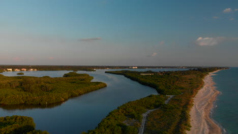 Aerial-dolly-in,-saltwater-mangrove-ecosystem,-beach-at-sunset,-Florida-coast