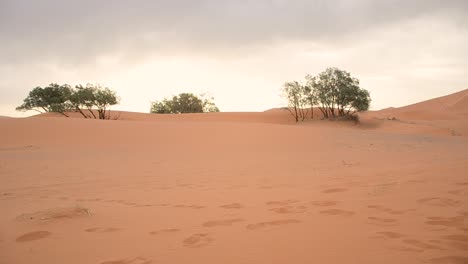 Paisaje-De-Dunas-Del-Desierto-Del-Sahara-Durante-El-Día,-Panorámica-De-Izquierda-A-Derecha