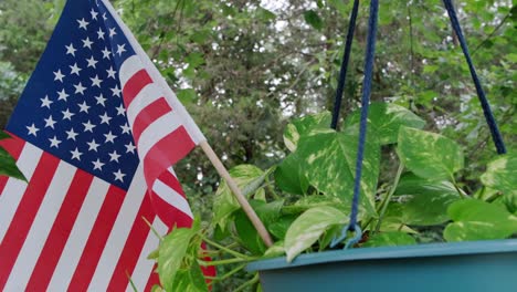 Bandera-Estadounidense-En-Una-Planta-Exterior-De-Hiedra-Del-Diablo-Que-Se-Balancea-Desde-Un-árbol