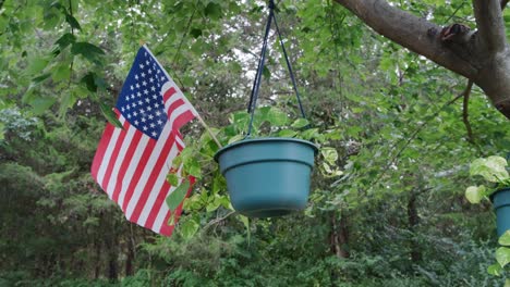 Amerikanische-Flagge-In-Einem-Teufels-Efeu-Außerhalb-Der-Pflanze,-Die-Von-Einem-Baum-Schwingt