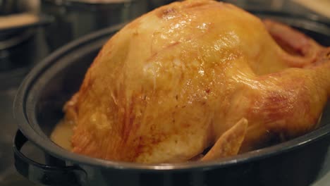 Closeup-of-a-delicious-cooked-Thanksgiving-turkey-after-removing-it-from-oven-in-slow-motion-4K