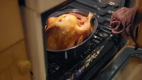 Entfernen-Eines-Gekochten-Thanksgiving-Truthahns-Aus-Dem-Ofen-In-Zeitlupe-4k