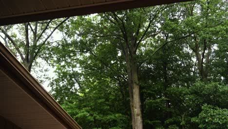 Hoher-Winkel-Eines-Daches-Und-Waldes,-Der-Einen-Leichten-Sommerregen-Zeigt