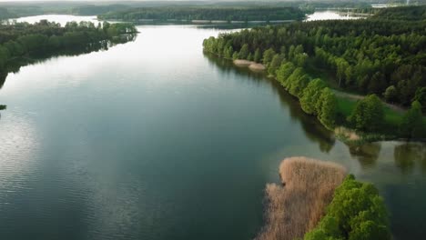 Aerial-view-of-small-island-at-wdzydze-lake-in-Poland