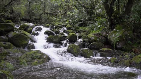 Slow-Motion-footage-of-a-beautiful-creek-up-in-the-mountains-with-some-waterfalls