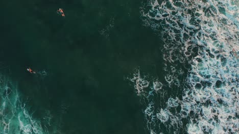 Top-down-view-of-surfers-at-Canggu