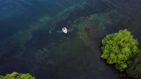 Aerial-shot-of-a-couple-rowing-in-circles-on-a-crystal-clear-lake