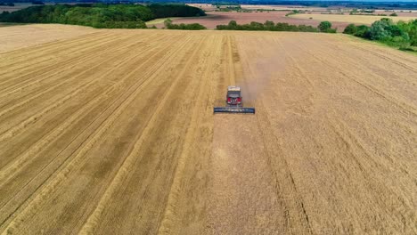 A-golden-field-of-spring-barley-being-harvested-on-a-beautiful-English-summer's-day,-the-epitome-of-rural-life-in-England