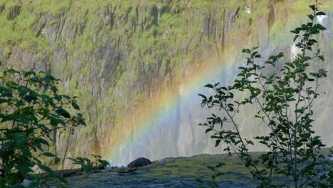 Medium-static-shot-Mesa-falls-Idaho-rainbow