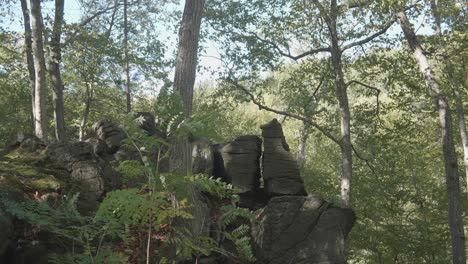 Stones-at-Lover's-leap,-Wissahickon-Creek