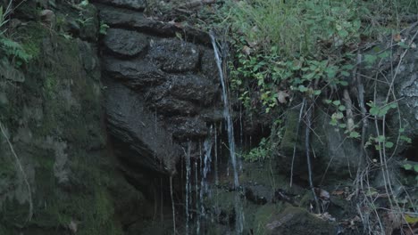 Wasser-Rieselt-Auf-Felsen-Und-Schlamm-Entlang-Des-Wissahickon-Creek