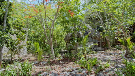 Wide-slow-motion-shot-of-hut-inside-the-forest-in-Chunyaxche,-Quintana-Roo,-Mexico