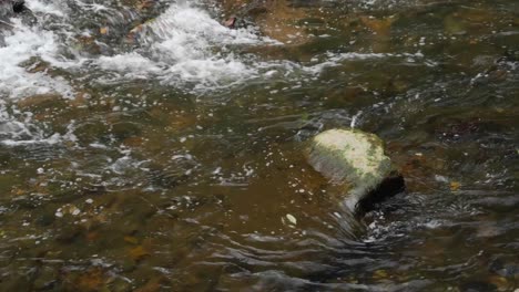 Wissahickon-Creek-flows-over-rocks,-stones
