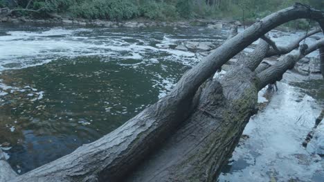 Calm-waters-of-the-Wissahickon-Creek,-fallen-tree