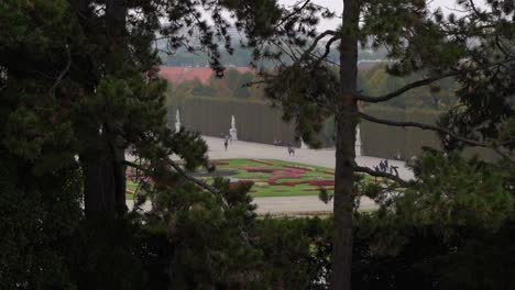 Vista-Increíble-Desde-Detrás-De-Los-árboles-Que-Dominan-El-Jardín-De-Flores-De-Schönbrunn,-Austria---Cámara-Lenta-Estable
