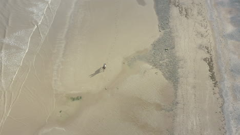 Aerial-top-down-view,-rider-and-horse,-ride-along-the-waters-edge-of-a-beach