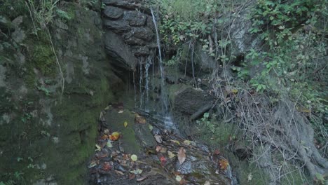 Wasser-Rieselt-Auf-Felsen-Und-Schlamm-Entlang-Des-Wissahickon-Creek
