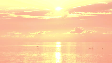 Sonnenaufgang-Ozean-Strand-Orange-Gelb-Mit-Vogelsilhouetten