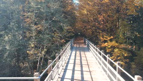 low-angle-revealing-drone-shot-of-lady-looking-at-view-on-old-wooden-rail-bridge-in-Canada-in-the-fall
