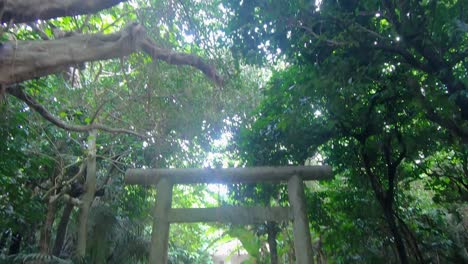 Shinto-Torii-in-the-middle-of-rural-national-park