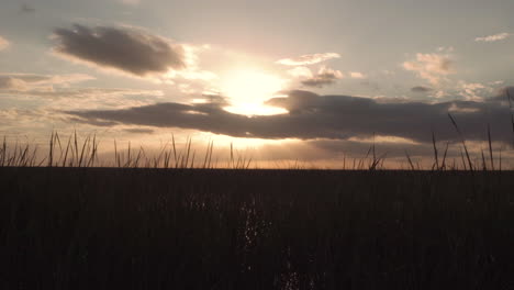 sunset-with-sawgrass-in-everglades