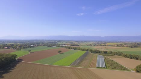 Vista-Aérea-De-Drones-Sobre-Un-Bosque-De-Otoño-En-Suiza