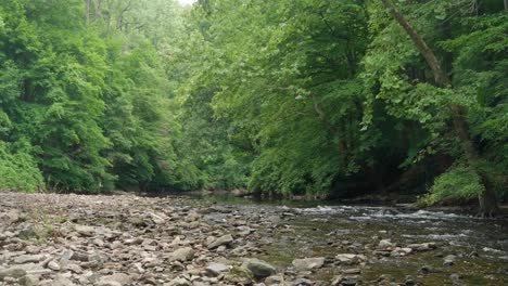 Wasser-Fließt-über-Steine-Am-Wisshaickon-Creek,-Bäume-Im-Hintergrund