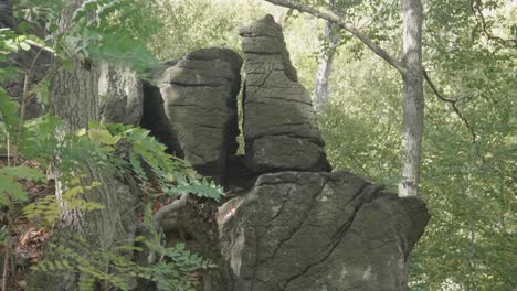 Stones-at-Lover's-leap,-Wissahickon-Creek