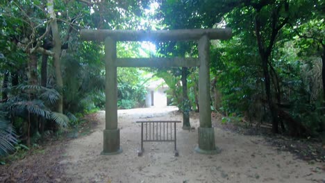 Secret-Torii-in-the-middle-of-rural-national-park